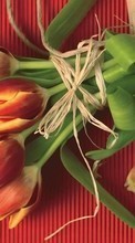 Bouquets,Flores,Plantas,Tulipas para Apple iPhone 6