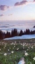 Plantas,Paisagem,Flores,Montanhas,Neve para Nokia X2-01