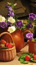 Flores,Objetos,Plantas para HTC Desire SV