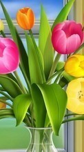 Plantas,Flores,Imagens para Apple iPhone 4S