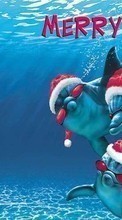 Engraçado,Férias,Golfinhos,Mar,Ano Novo,Natal,Peixes para Sony Ericsson W350
