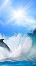 Golfinhos,Animais para Fly ERA Nano 6 IQ4406