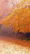 Paisagem,Árvores,Estradas,Outono,Folhas para Samsung Galaxy Spica
