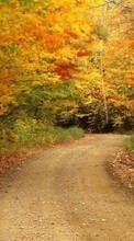 Baixar a imagem para celular Árvores,Estradas,Outono,Paisagem grátis.