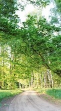 Plantas,Paisagem,Árvores,Estradas para Samsung Galaxy Grand Neo