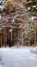 Baixar a imagem para celular Paisagem,Inverno,Árvores,Estradas,Neve grátis.