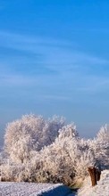 Árvores,Estradas,Paisagem,Inverno para Sony Xperia Tipo ST21i