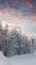 Baixar a imagem para celular Paisagem,Inverno,Árvores,Montanhas,Neve,Figueiras grátis.