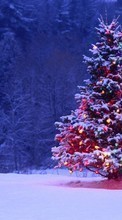 Férias,Paisagem,Árvores,Ano Novo,Figueiras,Natal para Samsung Corby S3650