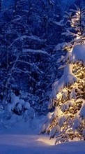 Férias,Paisagem,Inverno,Árvores,Ano Novo,Neve,Figueiras,Natal para Motorola FIRE