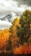 Baixar a imagem para celular Árvores,Montanhas,Outono,Paisagem grátis.