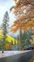 Paisagem,Árvores,Montanhas,Outono,Neve para Lenovo S580
