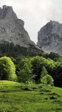 Paisagem,Árvores,Montanhas para Sony Xperia 5 II