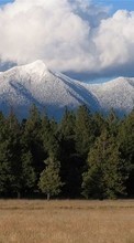 Árvores,Montanhas,Paisagem para Sony Xperia Z5 Premium
