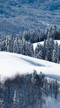 Baixar a imagem para celular Paisagem,Inverno,Árvores,Montanhas,Neve grátis.