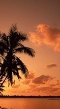 Paisagem,Árvores,Pôr do sol,Céu,Mar,Palms para Samsung Galaxy Note 3