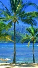 Paisagem,Árvores,Mar,Praia,Palms para Samsung Galaxy Star 2