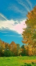 Baixar a imagem para celular Paisagem,Árvores,Céu,Outono,Nuvens grátis.