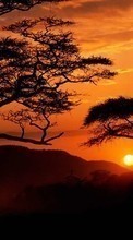 Paisagem,Árvores,Pôr do sol,Céu,Sol para Sony Ericsson W550