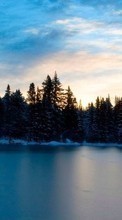 Paisagem,Inverno,Água,Árvores,Céu para HTC Sensation