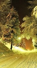 Baixar a imagem para celular Paisagem,Inverno,Árvores,Noite,Neve grátis.