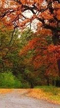 Baixar a imagem para celular Árvores,Outono,Parques,Paisagem,Natureza grátis.