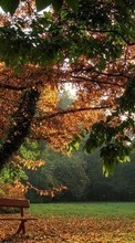 Árvores,Outono,Paisagem para HTC ChaCha