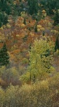 Paisagem,Árvores,Outono para Sony Xperia Z2