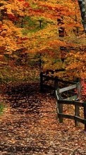 Baixar a imagem 128x160 para celular Paisagem,Árvores,Outono grátis.