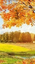 Baixar a imagem para celular Campos,Outono,Paisagem,Árvores grátis.