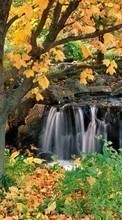 Baixar a imagem para celular Árvores,Outono,Paisagem,Cachoeiras grátis.