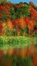 Plantas,Água,Árvores,Outono para HTC One S