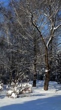 Árvores,Paisagem,Neve para Xiaomi Redmi 2