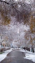 Paisagem,Árvores,Ruas,Neve para Samsung Galaxy S7