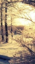 Paisagem,Inverno,Árvores,Pôr do sol,Neve para OnePlus OnePlus X