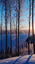 Baixar a imagem 320x480 para celular Paisagem,Inverno,Árvores,Pôr do sol,Neve grátis.