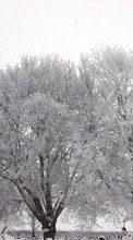Baixar a imagem 128x160 para celular Paisagem,Inverno,Árvores,Neve grátis.