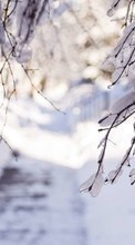 Baixar a imagem para celular Árvores,Neve,Paisagem,Inverno grátis.