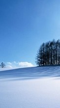 Baixar a imagem para celular Árvores,Paisagem,Neve,Inverno grátis.