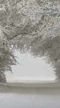 Baixar a imagem para celular Árvores,Paisagem,Neve,Inverno grátis.