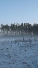 Paisagem,Inverno,Árvores,Neve para HTC Desire 820G+