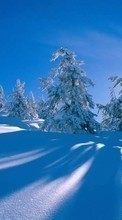 Baixar a imagem 240x400 para celular Paisagem,Inverno,Árvores,Neve grátis.