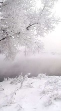 Baixar a imagem 1024x600 para celular Paisagem,Inverno,Árvores,Neve grátis.