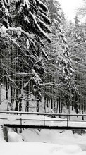 Baixar a imagem 360x640 para celular Paisagem,Inverno,Árvores,Neve grátis.