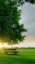 Paisagem,Árvores,Pôr do sol,Grama para Samsung Galaxy 551