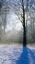 Baixar a imagem para celular Paisagem,Inverno,Árvores grátis.
