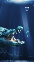 Dinossauros,Fantasia,Animais para BlackBerry Q5