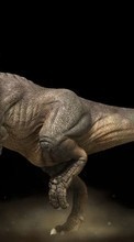 Baixar a imagem para celular Animais,Dinossauros grátis.