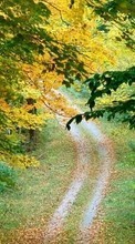 Estradas,Outono,Paisagem