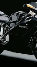 Baixar a imagem 800x480 para celular Transporte,Motocicletas,Ducati grátis.
